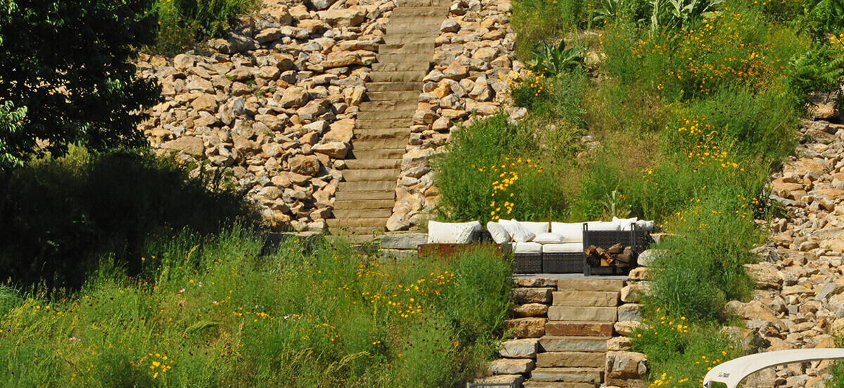 Yellow flowers and stone steps in residential landscape design.