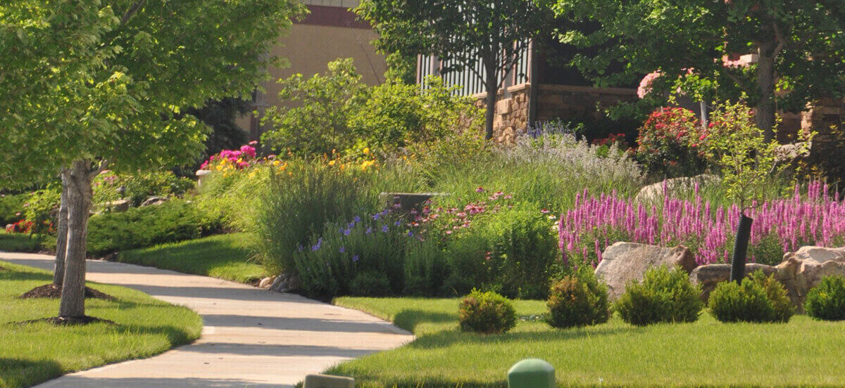 Purple, yellow, and blue flowers in residential landscape design.