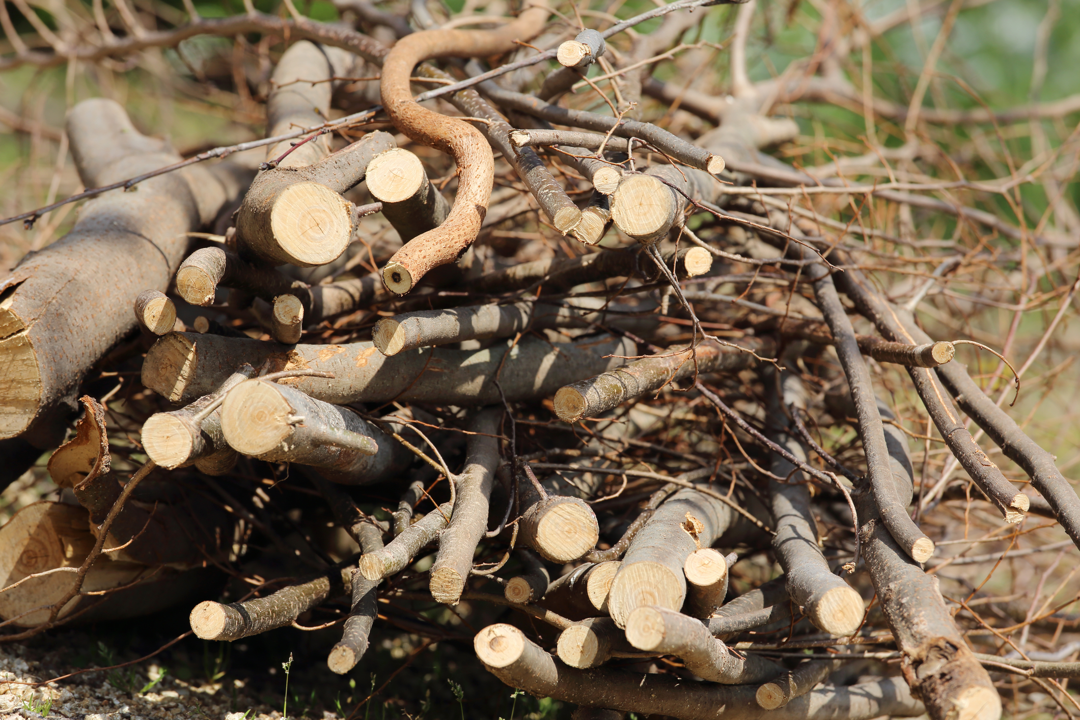 Woodpile Home