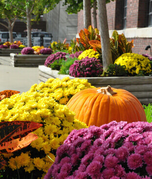 Landscape design with seasonal colors, completed by Embassy Landscape Group.