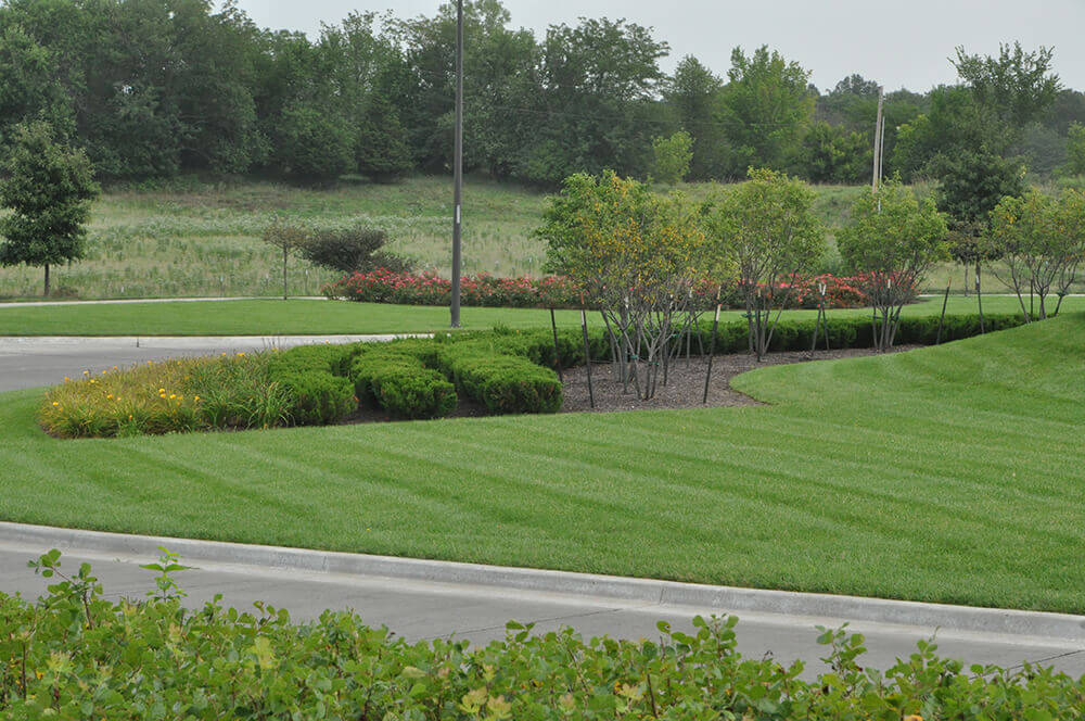 Commercial landscape design completed by Embassy Landscape Group.
