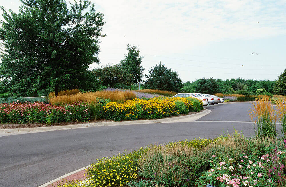 Landscape design at GCSSA, completed by Embassy Landscape Group.