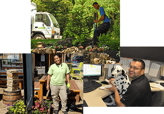 Careers at Embassy Landscape Group