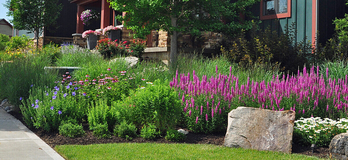 Landscape design with bright flowers.