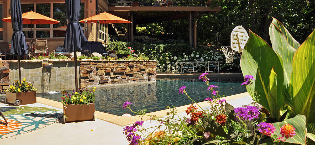 Landscape design and outdoor area with pool.