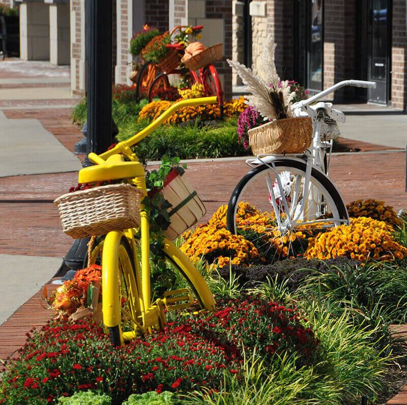 Colorful landscape design and management from Embassy Landscape Group.