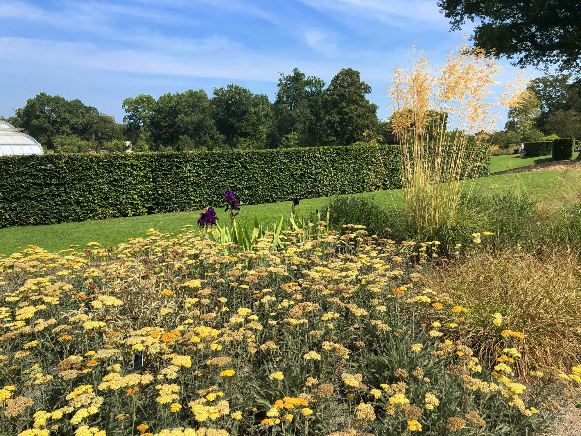 The RHS Garden Wisley