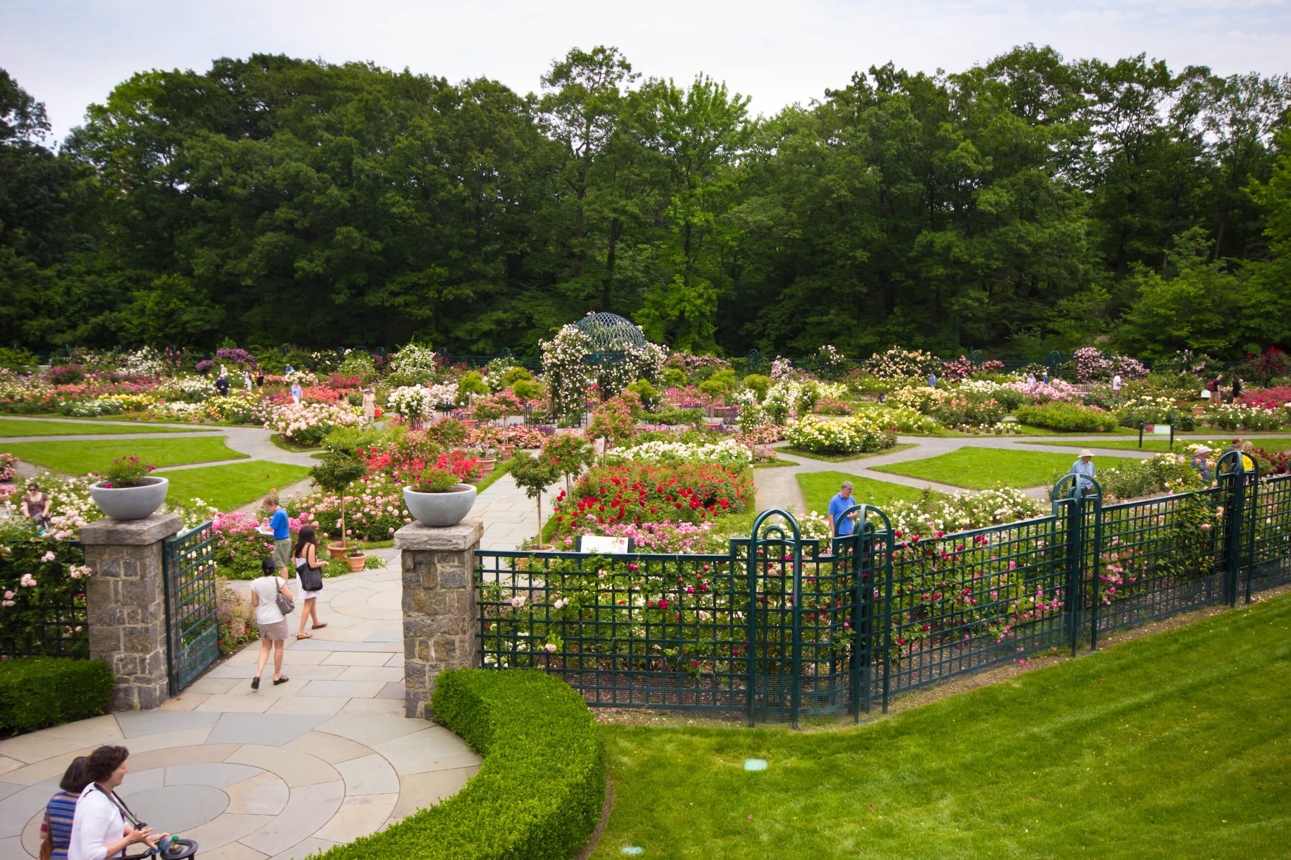 New York Botanical Gardens