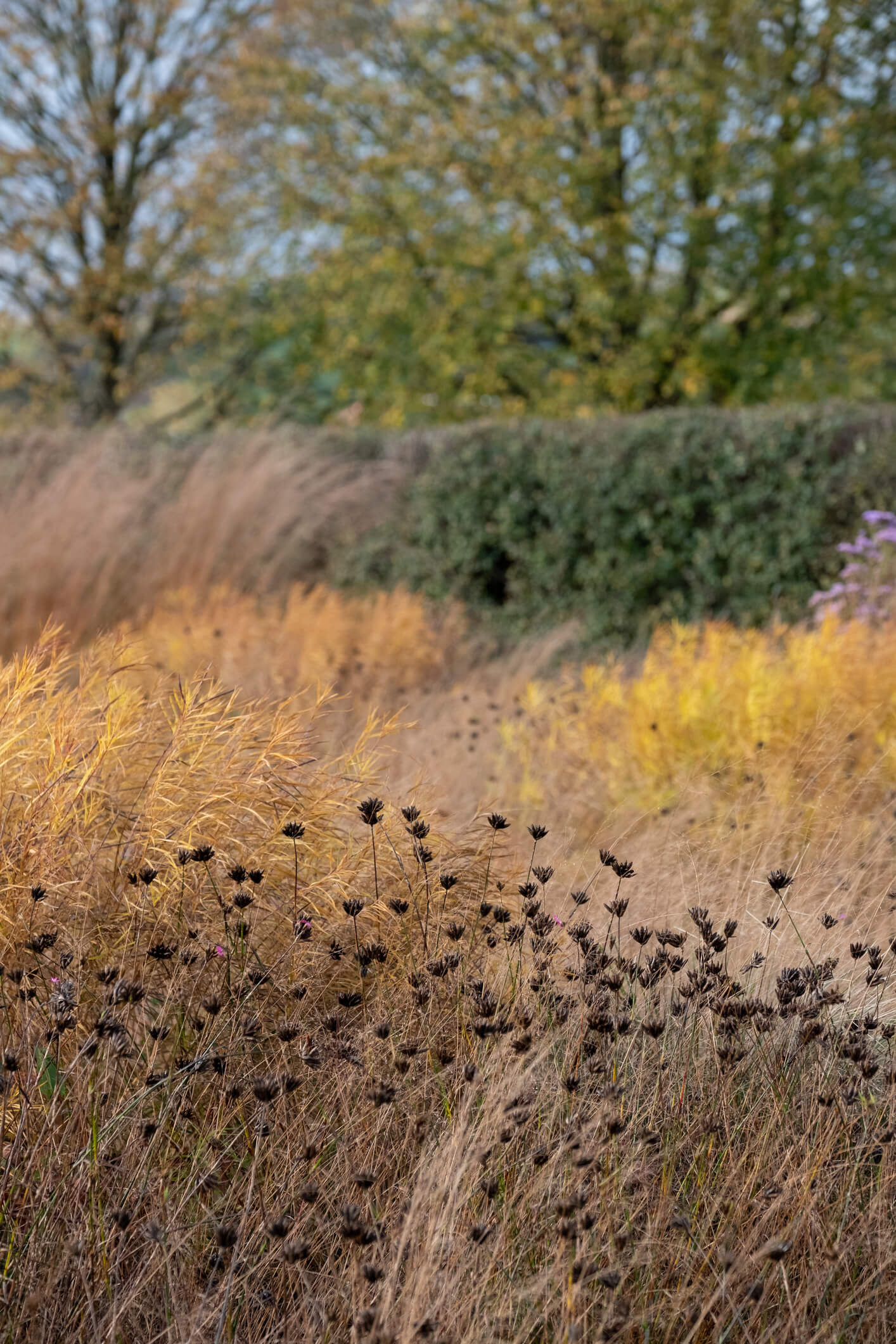 Hauser & Wirth Gallery Somerset, UK