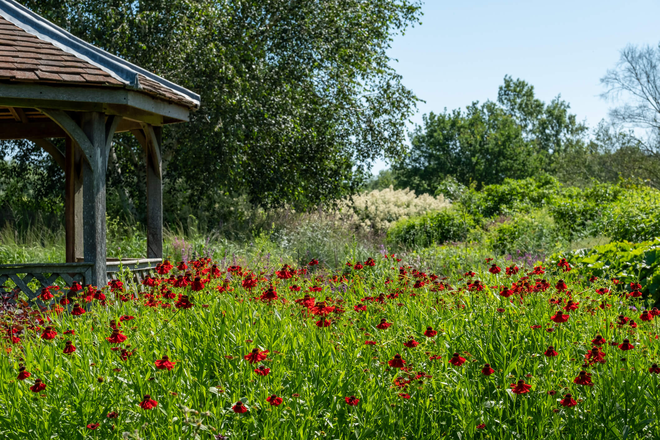 Millennium Garden at Pensthorpe Natural Park Norfolk, UK