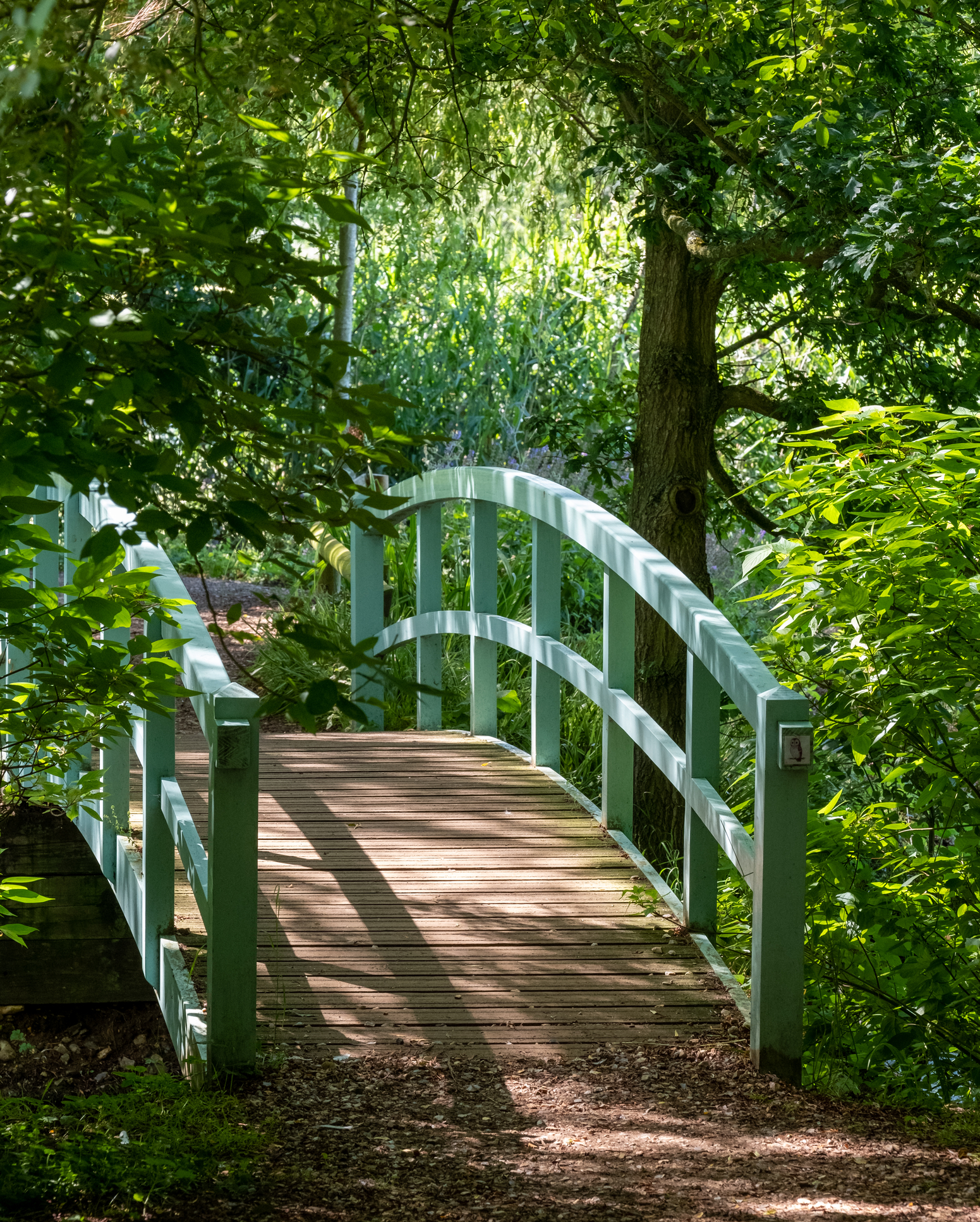 Millennium Garden at Pensthorpe Natural Park Norfolk, UK