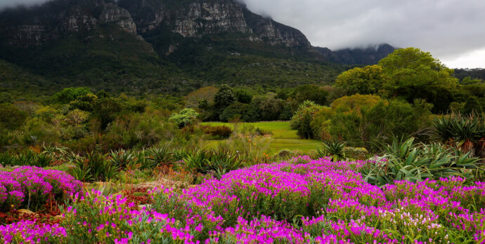 Welcome back to our virtual tour of some of the world’s outstanding --  and unusual  --  botanical gardens.