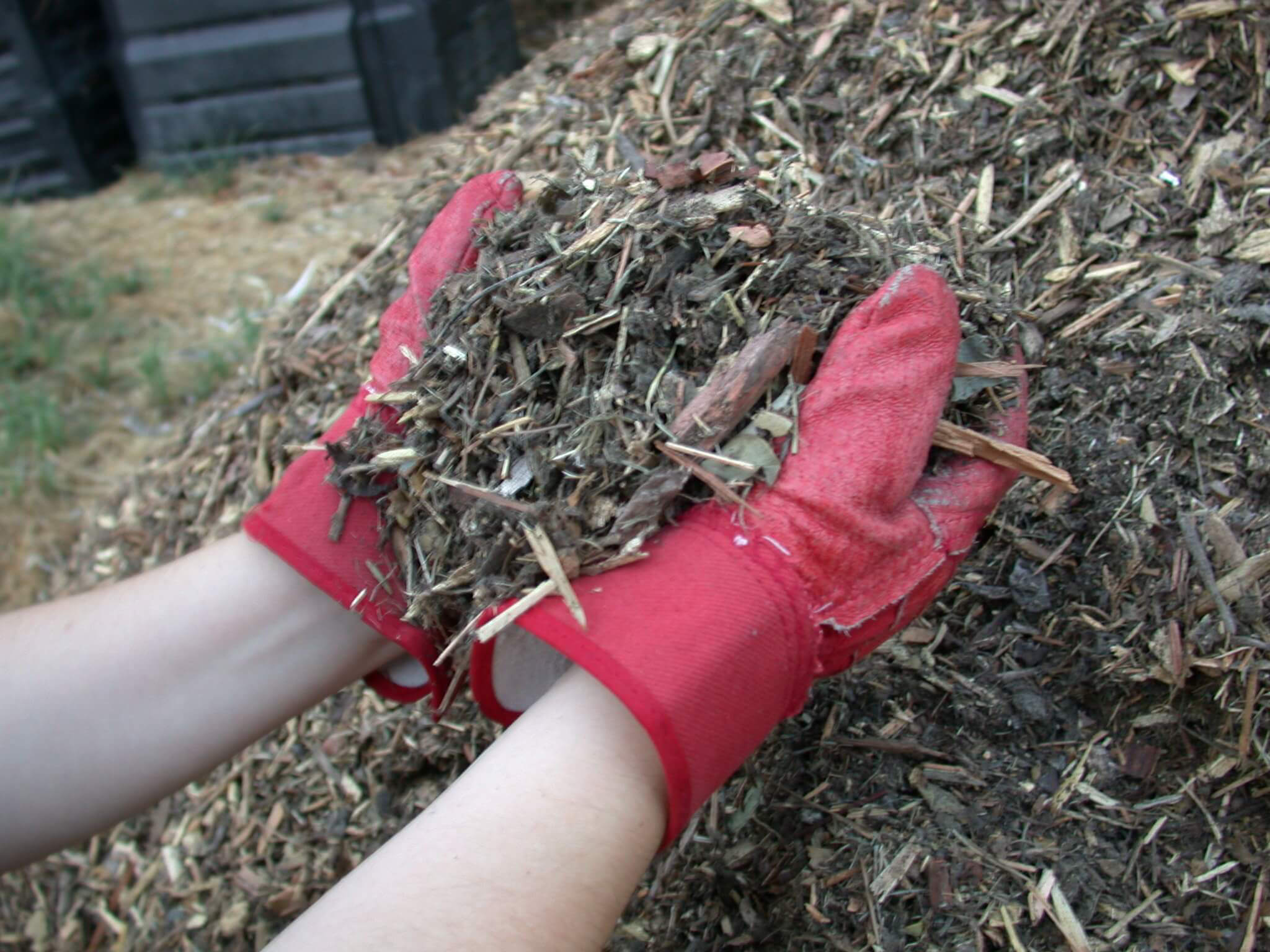 mulch